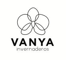 Logo VANYA